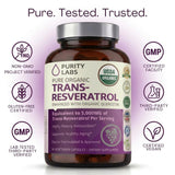 Purity Labs cápsulas en mano para demostrar porción y escala práctica