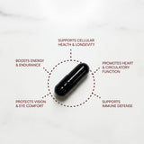 Purity Products AstaFX ingredientes en primer plano, mezcla con tocotrienoles y BioPerine