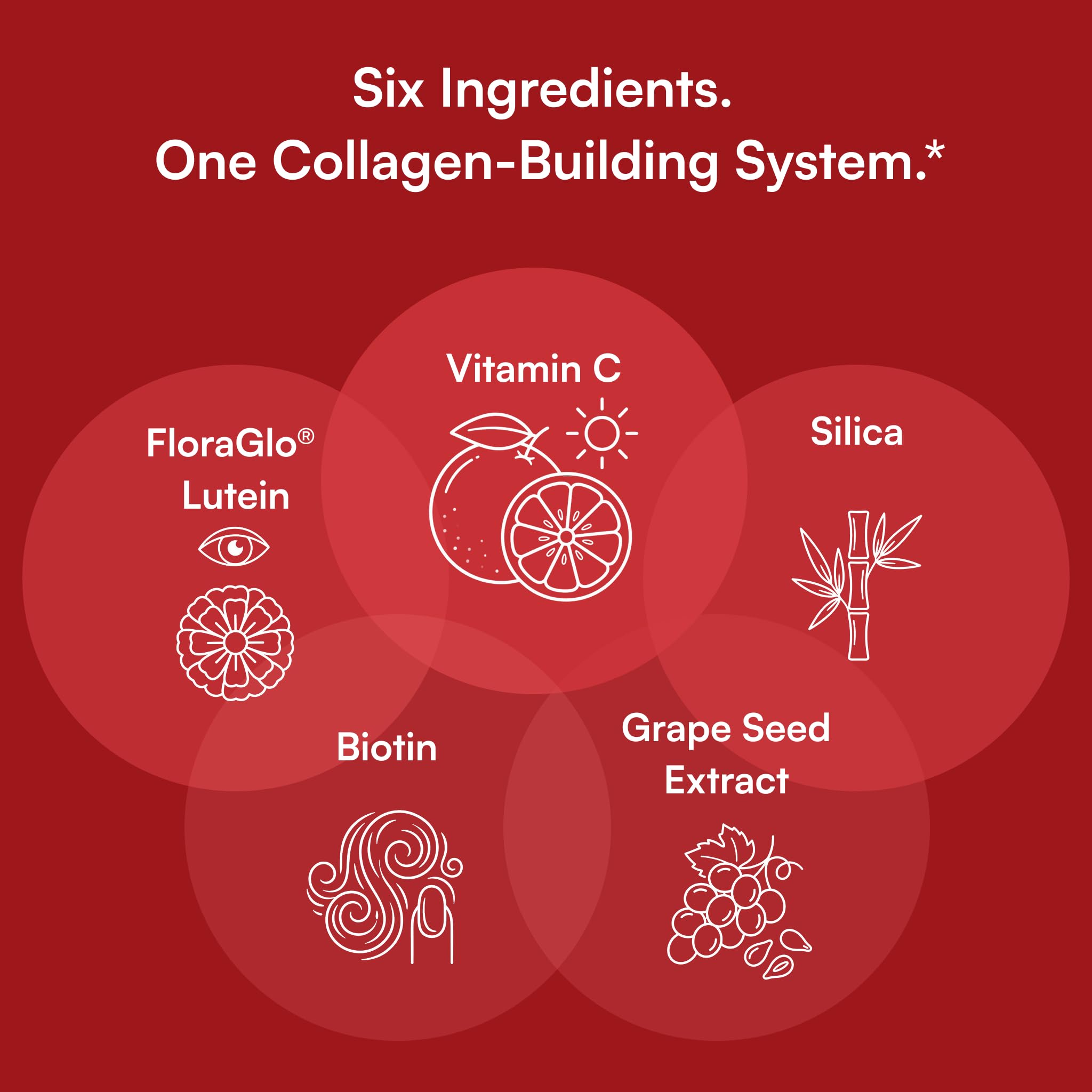 Purity Products ingredientes orgánicos frescos que aportan vitaminas y antioxidantes