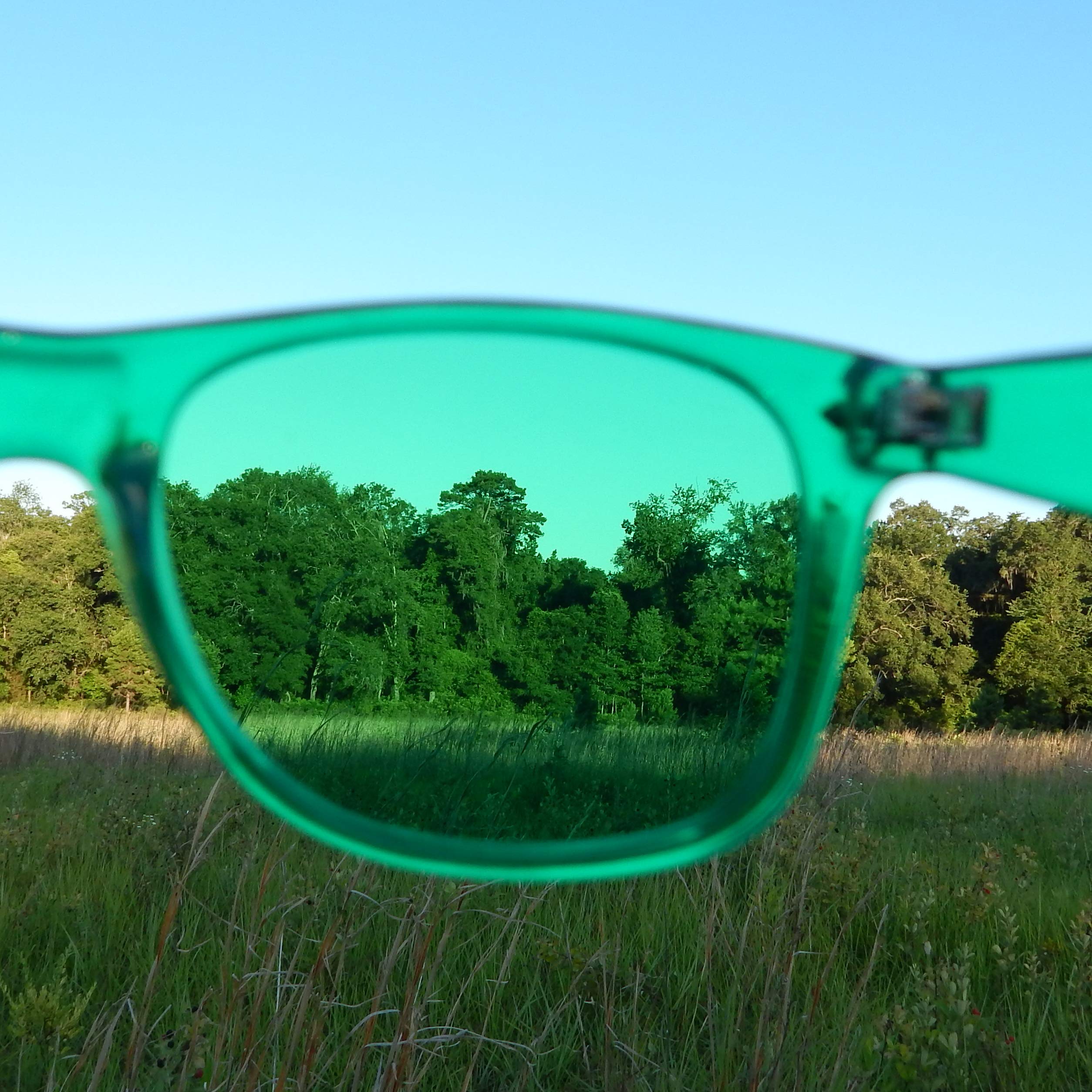 PURPLE CANYON gafas en uso mientras se lee, favoreciendo reducción de molestia lumínica