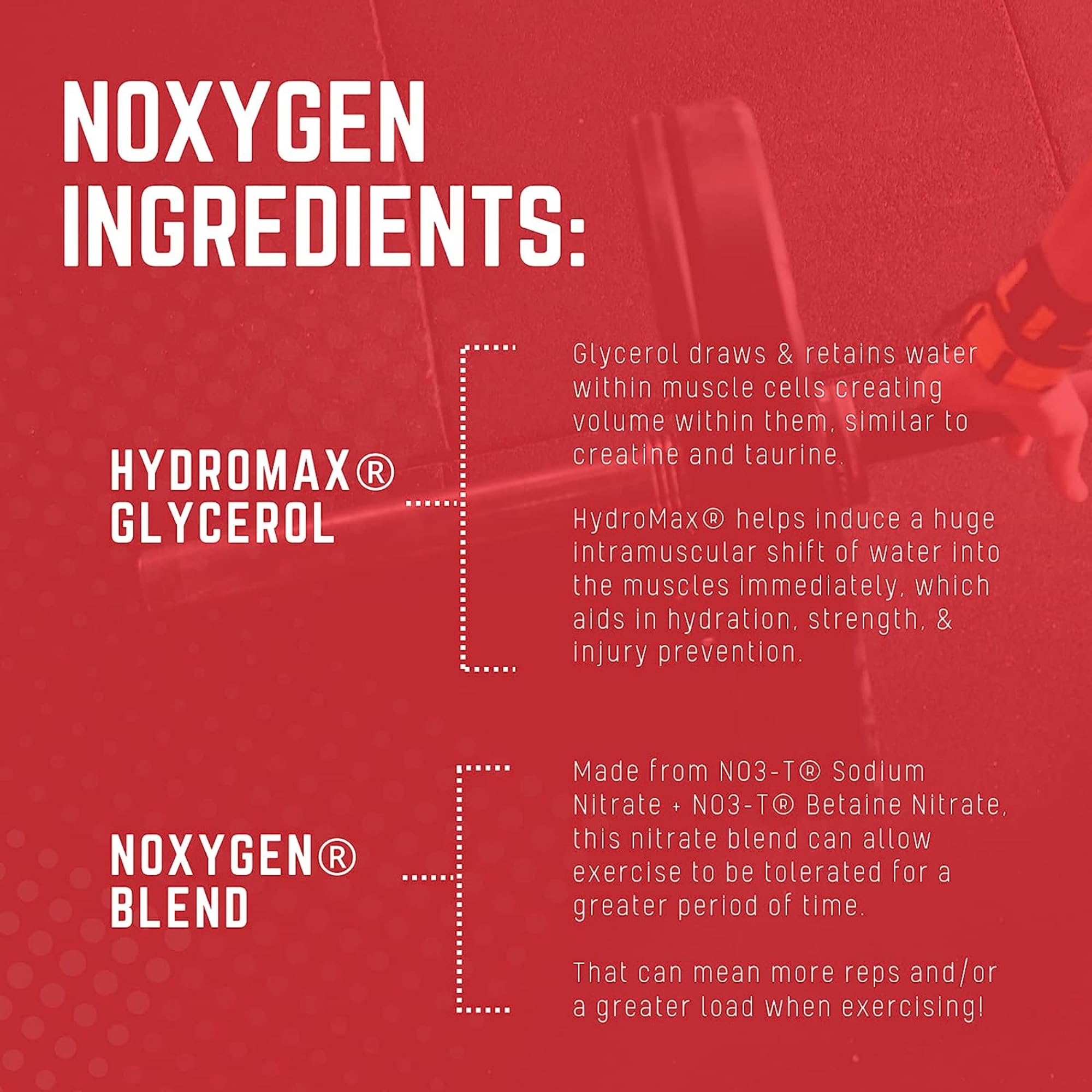 Envase NOXygen Purus Labs junto a manos para mostrar escala real