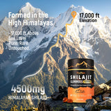Selección de ingredientes clave Puyflam (Shilajit, Ashwagandha), origen visible
