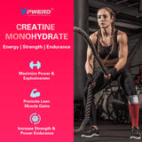PWERD porción en mano, conveniencia para tomar antes del entrenamiento