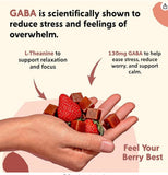 PYM etiqueta con ingredientes y cantidades de GABA y L-Theanine