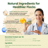 Qanoreth gallina con plumaje sano tras suplementación
