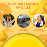 QIN SHAN TANG vaso preparado sabor mango naranja, bebida refrescante y sin azúcar