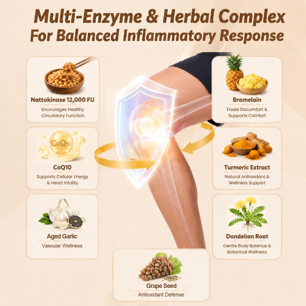Qmiozzy diagrama liposomal ilustrando mayor absorción y protección