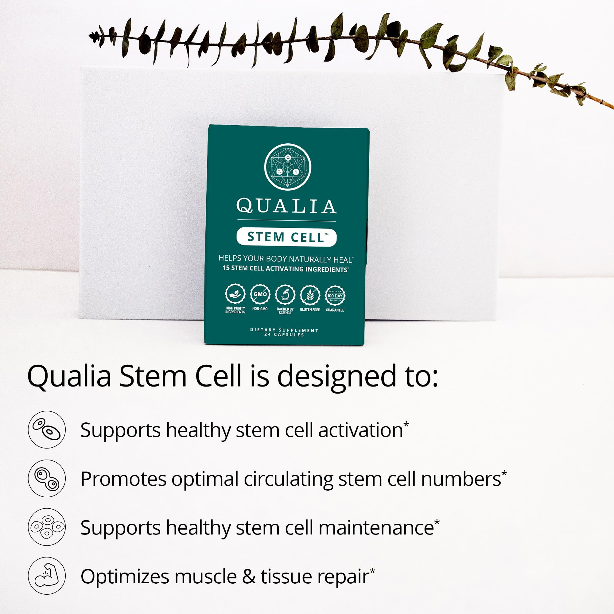 Qualia Stem Cell ingredientes clave jalea real y astrágalo con perfil nutritivo