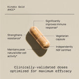Quality of Life Kinoko Gold textura del polvo del extracto destacando concentración