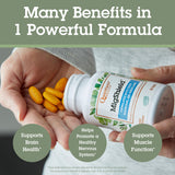 Etiqueta nutricional de MigShield Quantum destacando ingredientes y dosis