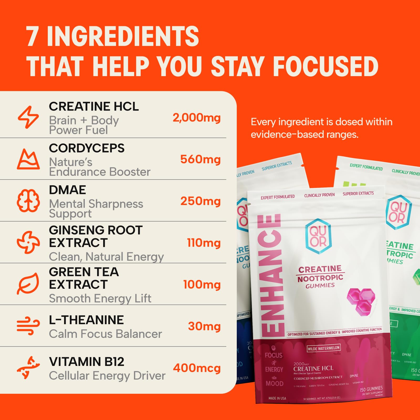 QUOR ingredientes L-Theanine Cordyceps Ginseng DMAE en foco, apoyo cognitivo