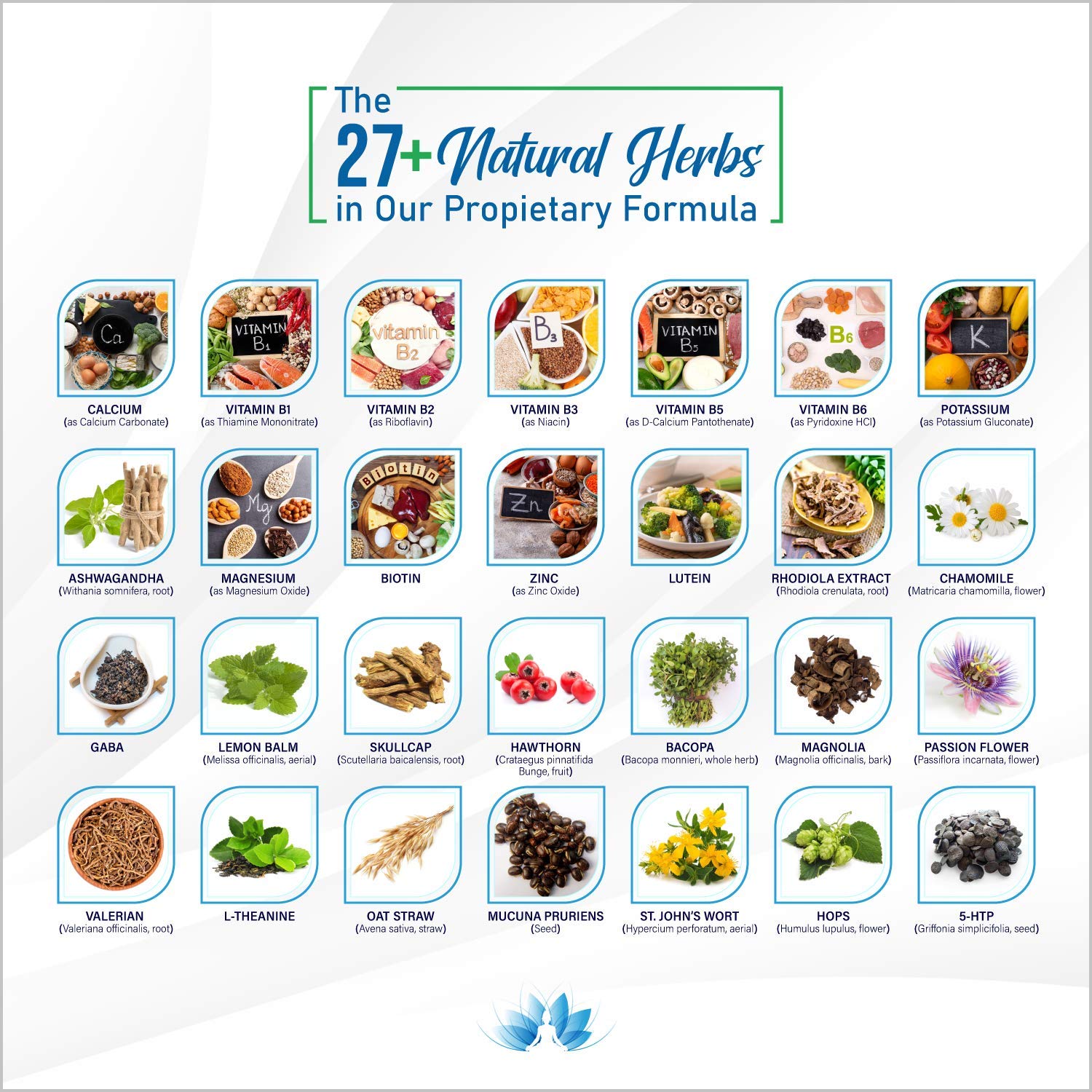 Rainbow Nutrients etiqueta con la lista de 28 ingredientes clave y claridad