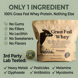 Raw Grass Fed Whey primer plano de la textura del polvo, mezcla fácil