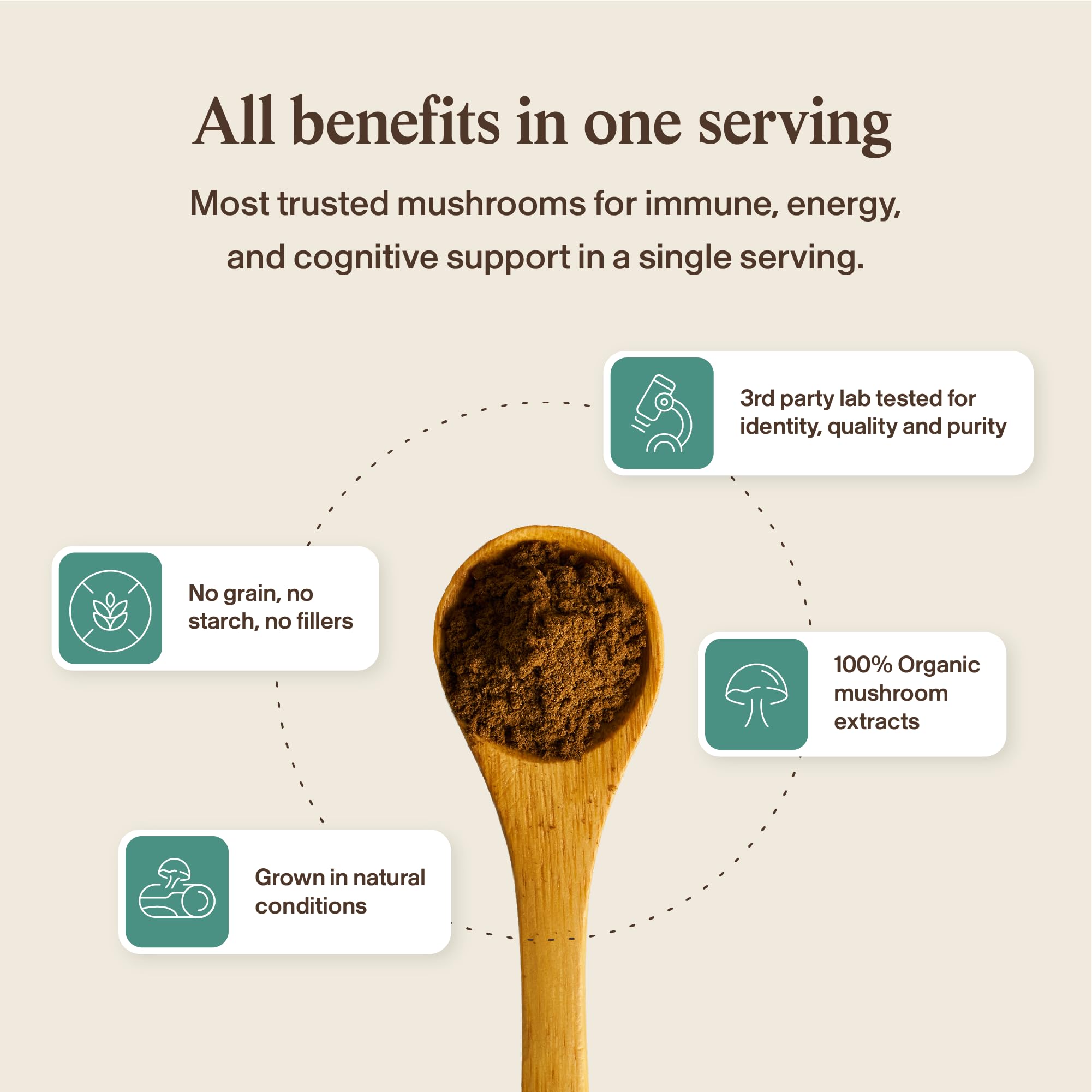 Real Mushrooms cuerpos fructíferos de hongos usados como ingredientes claros