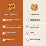 Real Mushrooms polvo mezclado en batido para fácil incorporación diaria