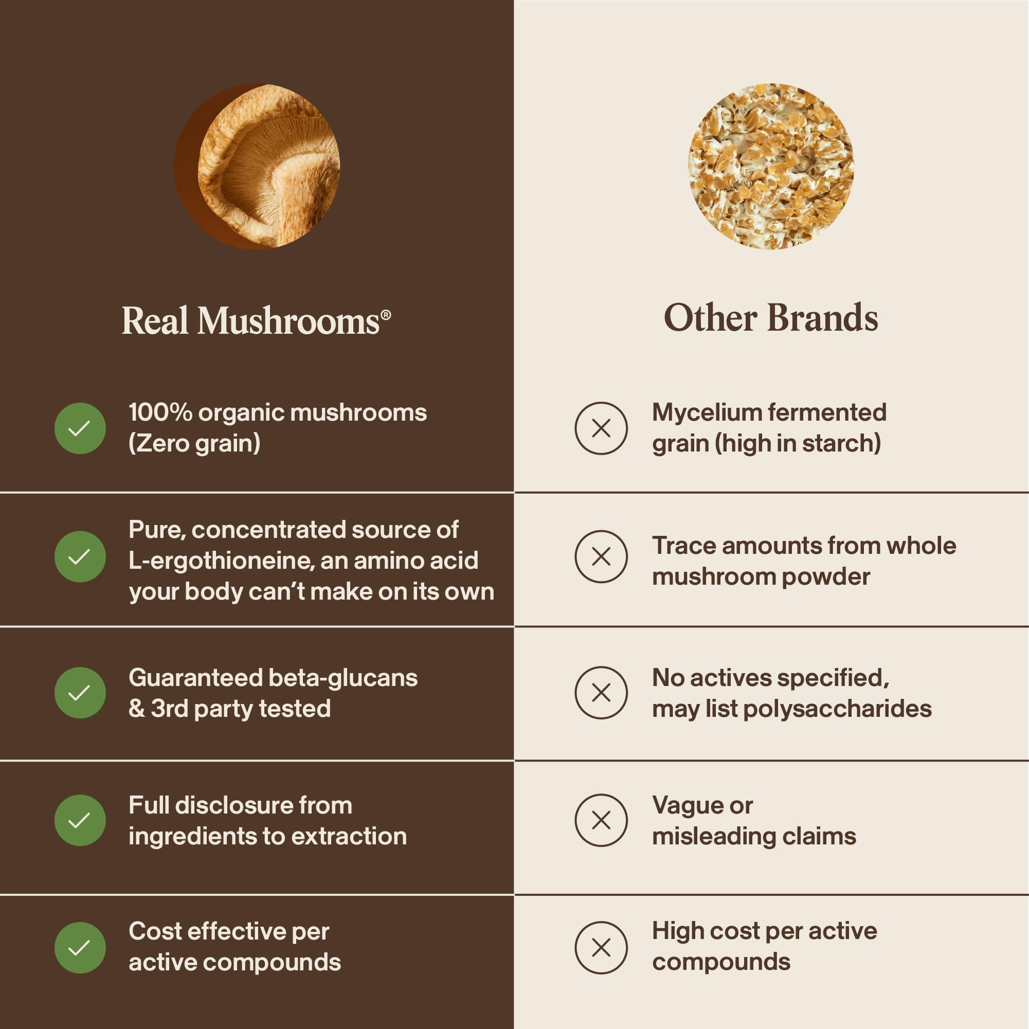 Real Mushrooms bote sobre encimera ilustrando uso con alimentos