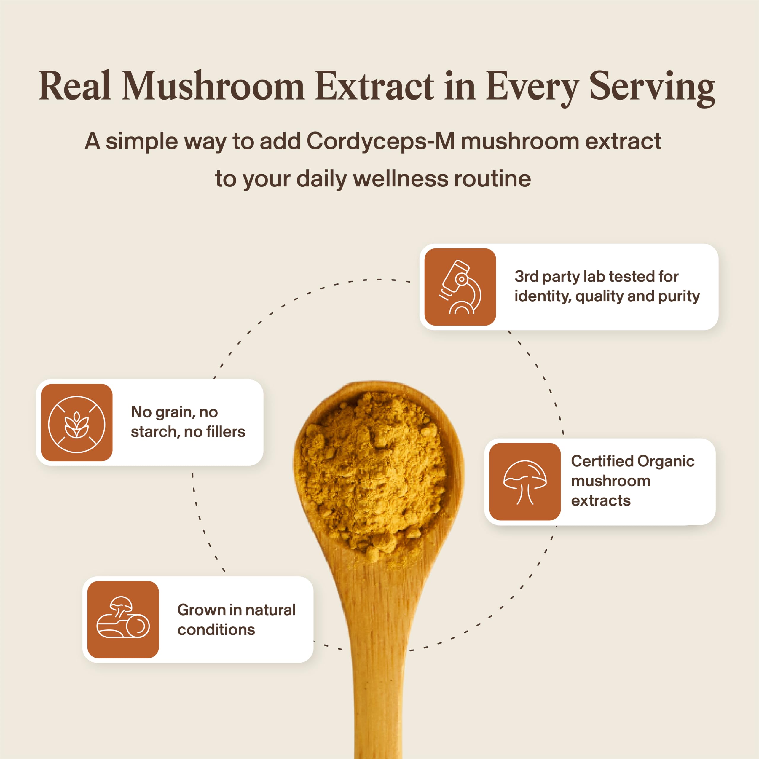 Real Mushrooms cápsula junto a una moneda para comparar tamaño real