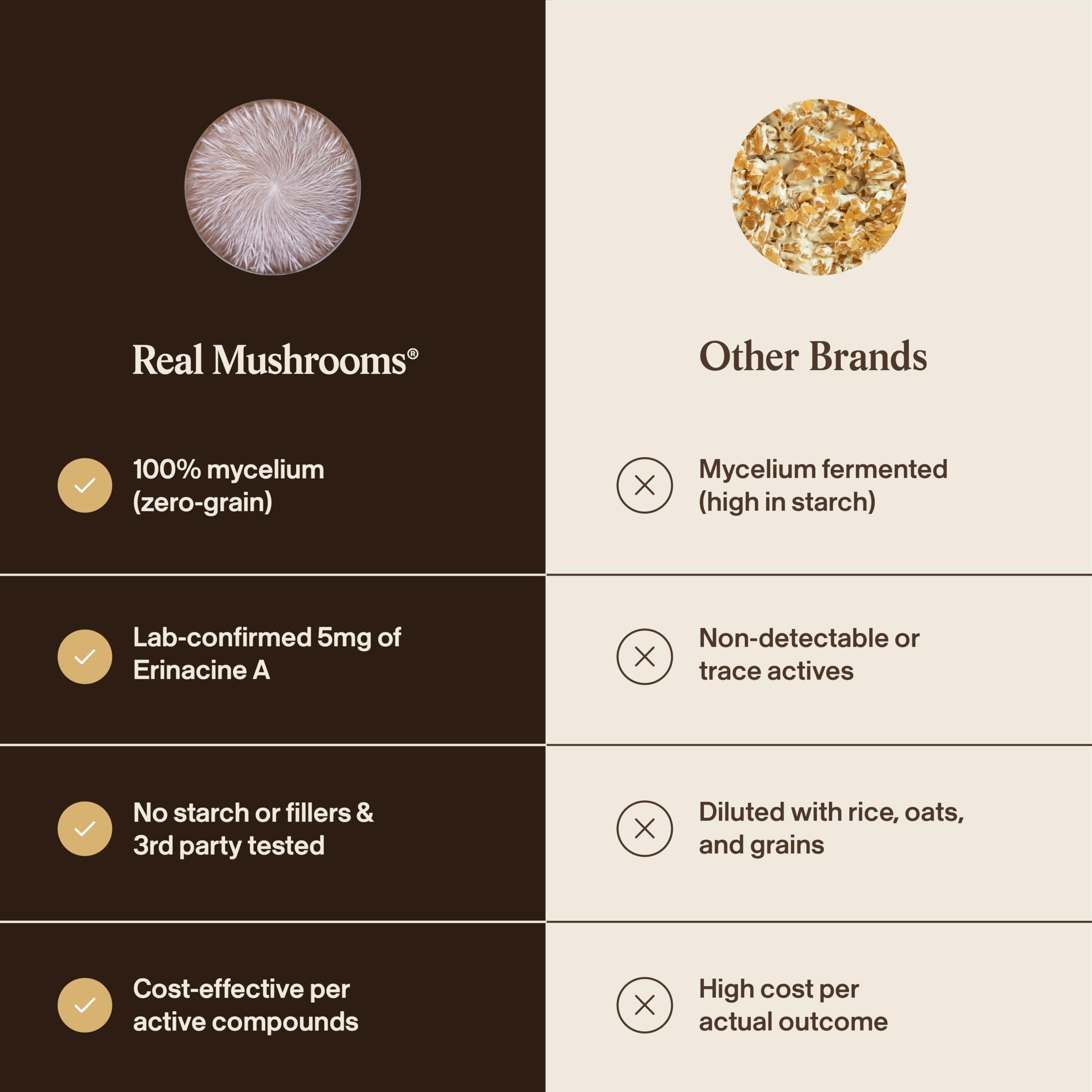 Real Mushrooms cápsula junto a moneda para comparación de tamaño práctica