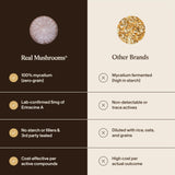 Real Mushrooms cápsula junto a moneda para comparación de tamaño práctica
