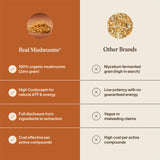 Real Mushrooms etiqueta de ingredientes y certificaciones visibles