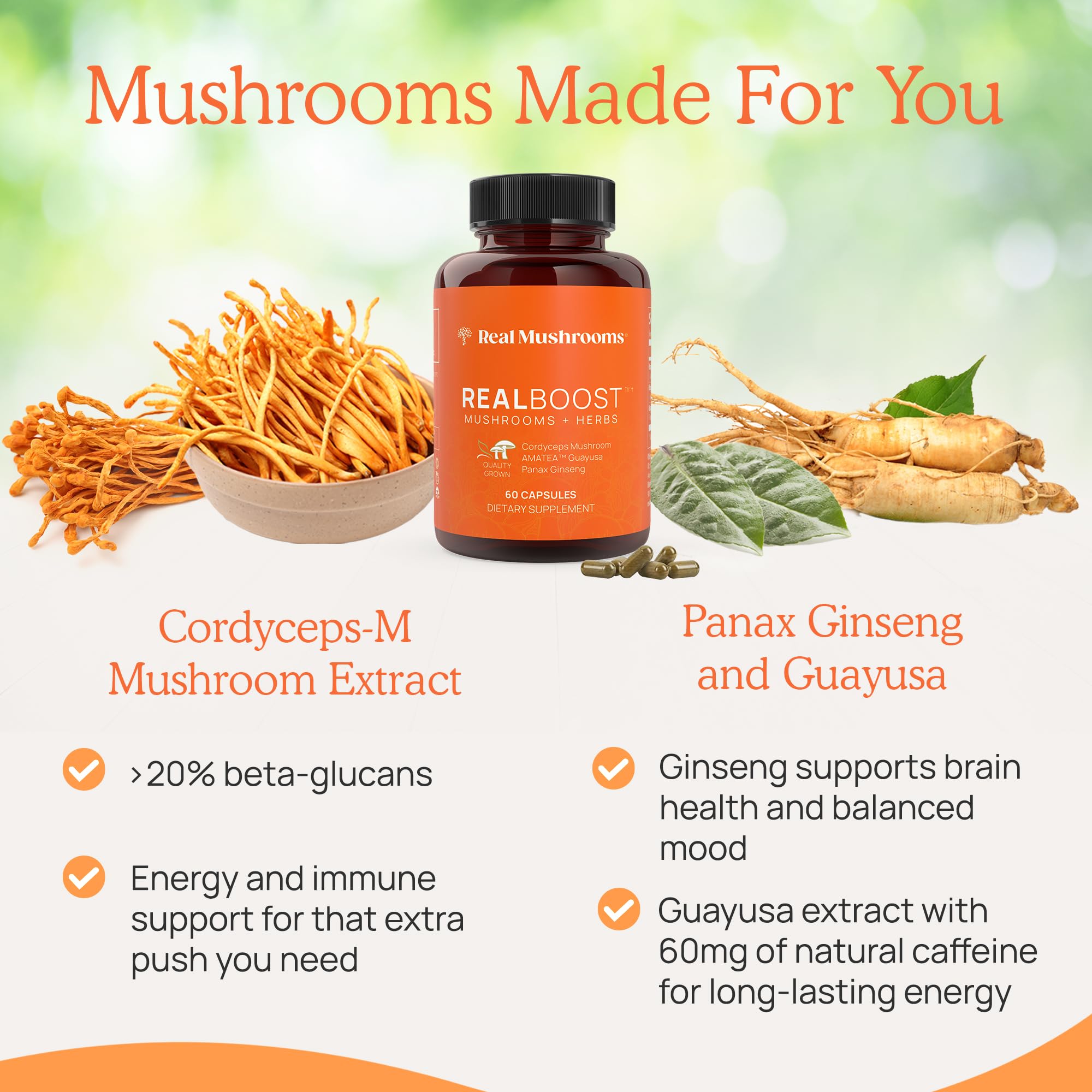 Real Mushrooms close-up de ginseng y guayusa usados en la fórmula, origen natural
