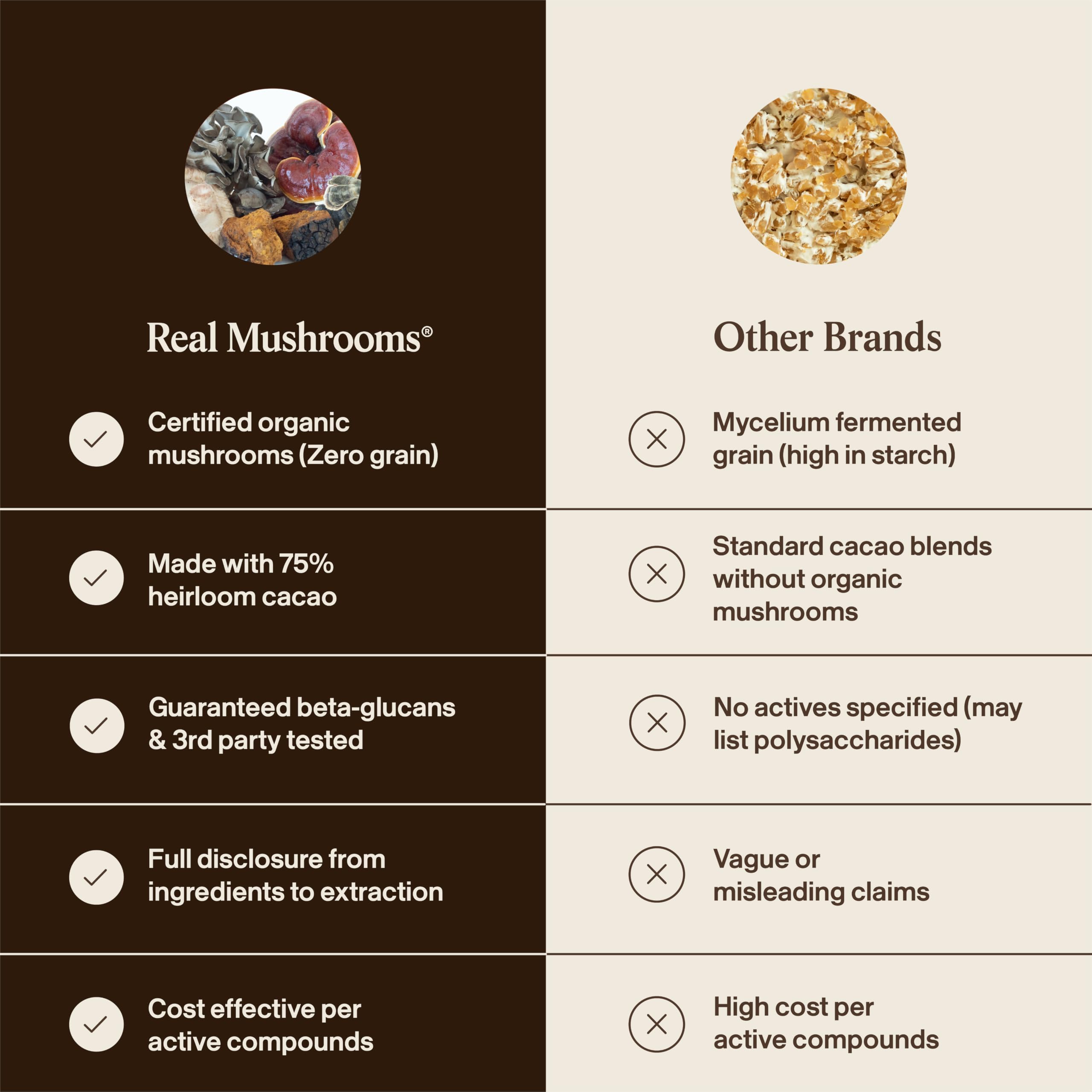 Real Mushrooms ingredientes sobre mesa mostrando cacao, coco y hongos naturales