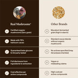 Real Mushrooms ingredientes sobre mesa mostrando cacao, coco y hongos naturales