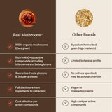 Real Mushrooms cuerpos fructíferos orgánicos ilustrando origen puro del extracto