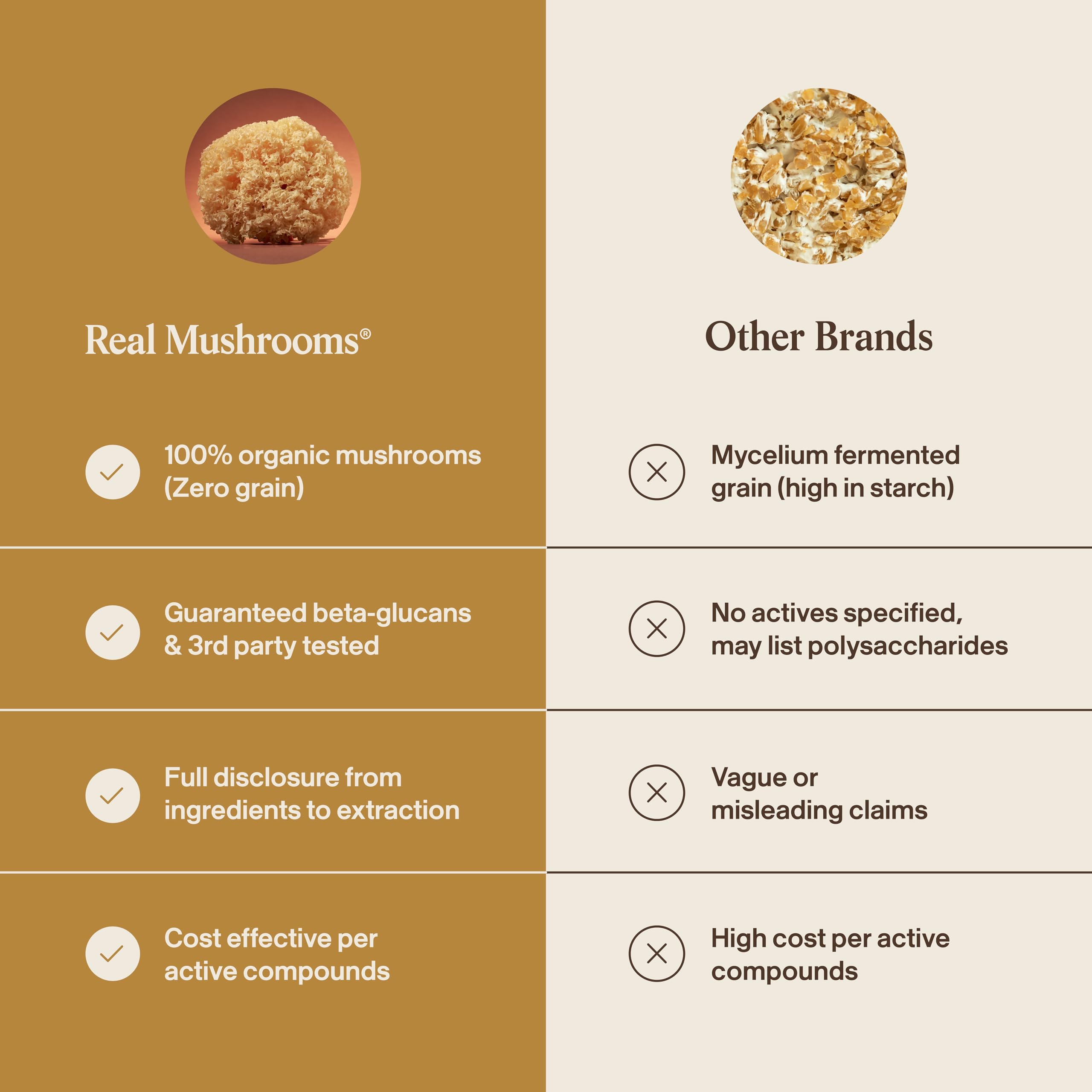 Real Mushrooms cápsulas junto a regla para comparar tamaño y portabilidad