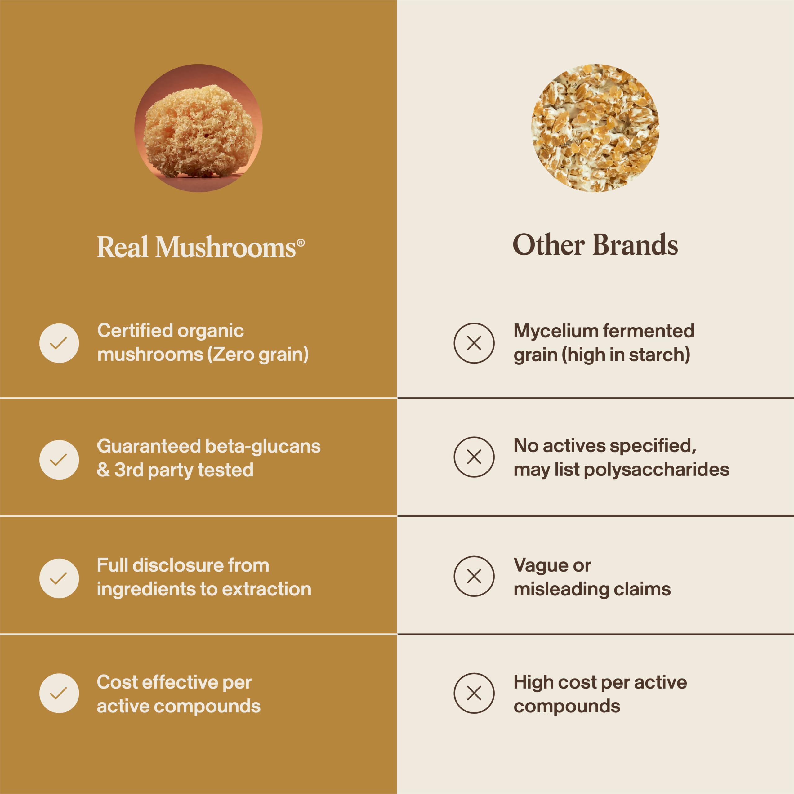 Real Mushrooms ingrediente: cuerpo fructífero de Tremella sin micelio ni rellenos