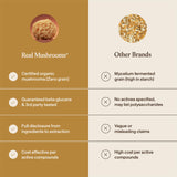 Real Mushrooms ingrediente: cuerpo fructífero de Tremella sin micelio ni rellenos
