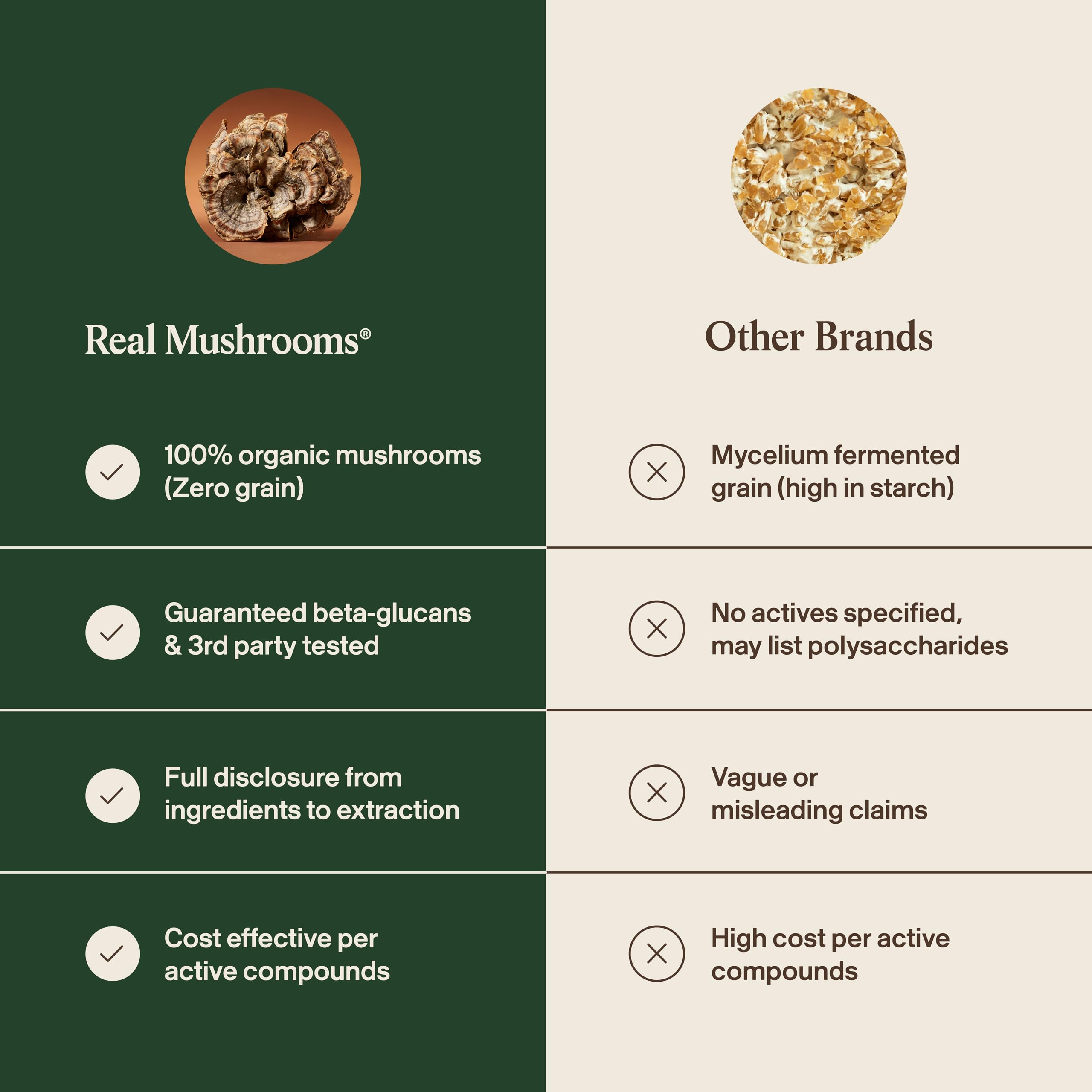 Real Mushrooms batido nutritivo con polvo para añadir sabor