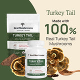 Real Mushrooms cucharada con polvo de Turkey Tail lista para mezclar fácilmente