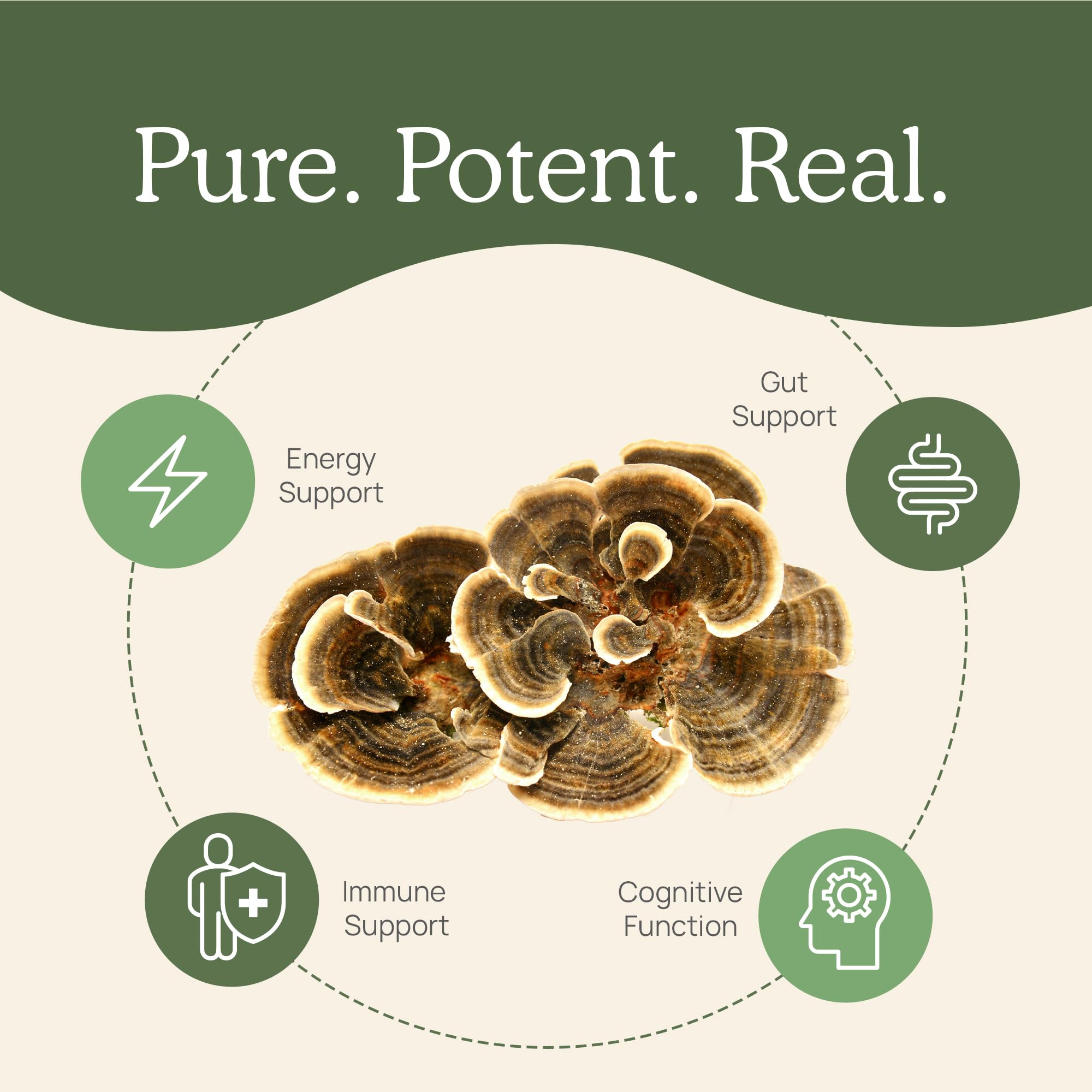Real Mushrooms etiqueta con certificaciones orgánicas y datos de laboratorio