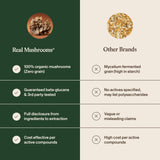 Real Mushrooms polvo añadido a un batido, uso versátil en comidas y bebidas
