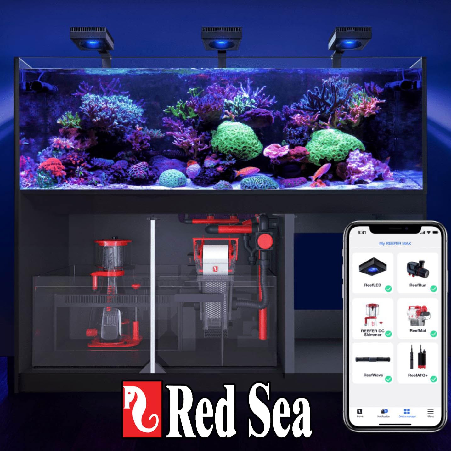 Red Sea Foundation A en acuario con corales para apoyar crecimiento estable