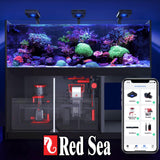 Red Sea Foundation A en acuario con corales para apoyar crecimiento estable