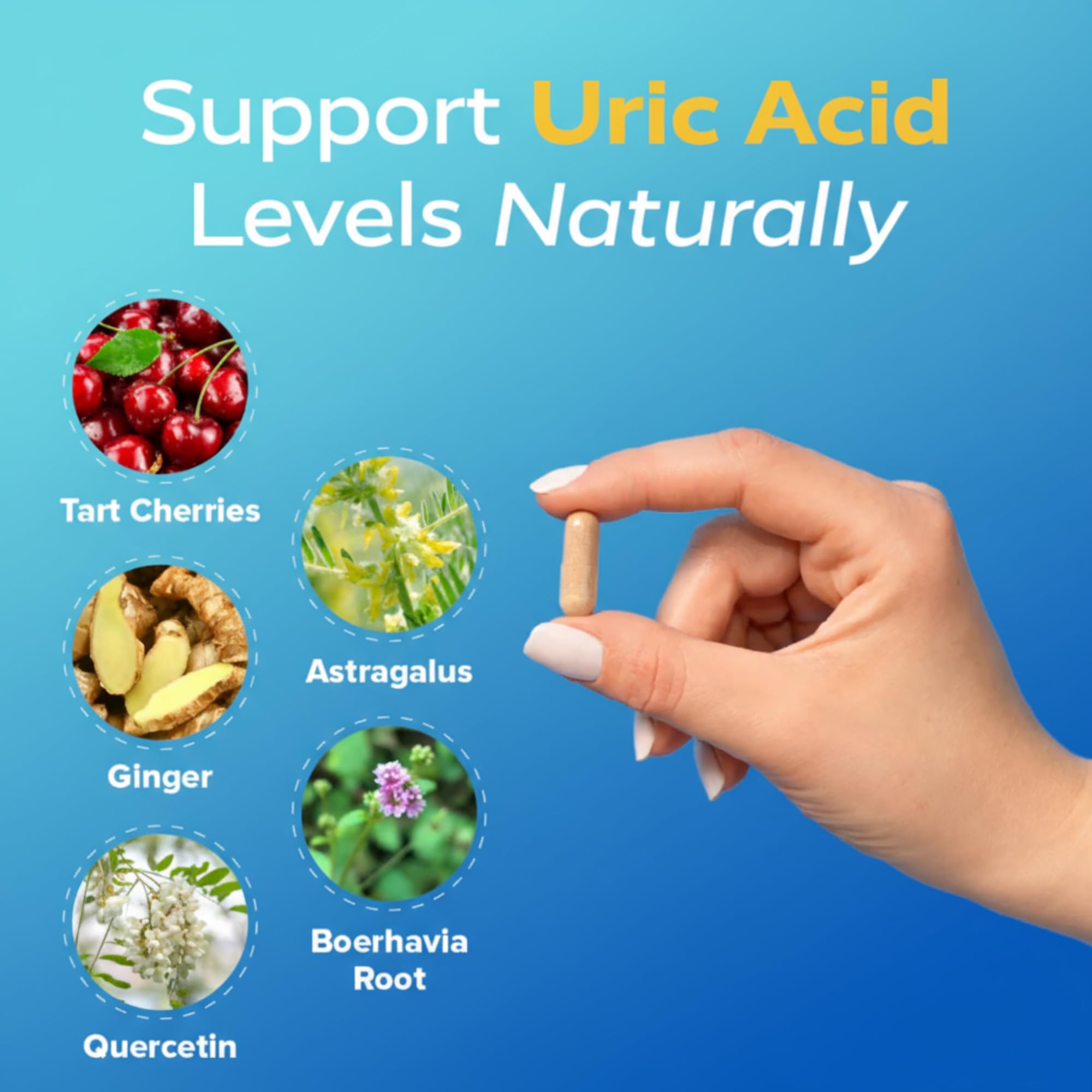 Redd Remedies polvo e ingredientes naturales que evidencian pureza