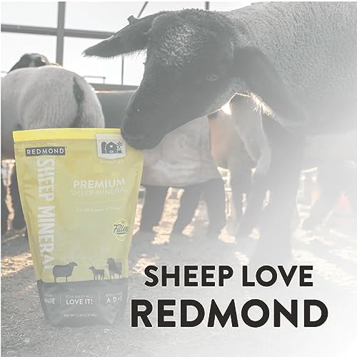 REDMOND suplemento en comedero con ovejas consumiendo, apoyo a dieta