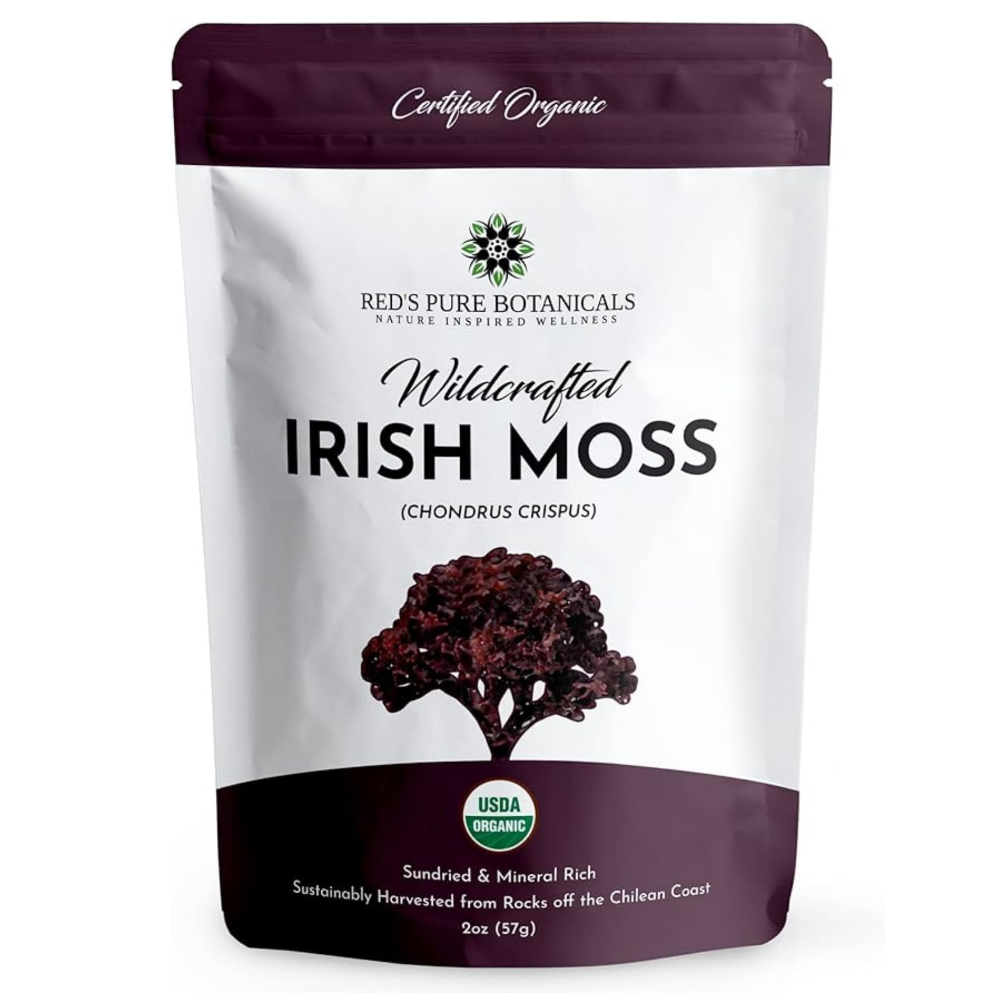 Red’s Pure Botanicals paquete frontal mostrando sea moss orgánico y origen chileno