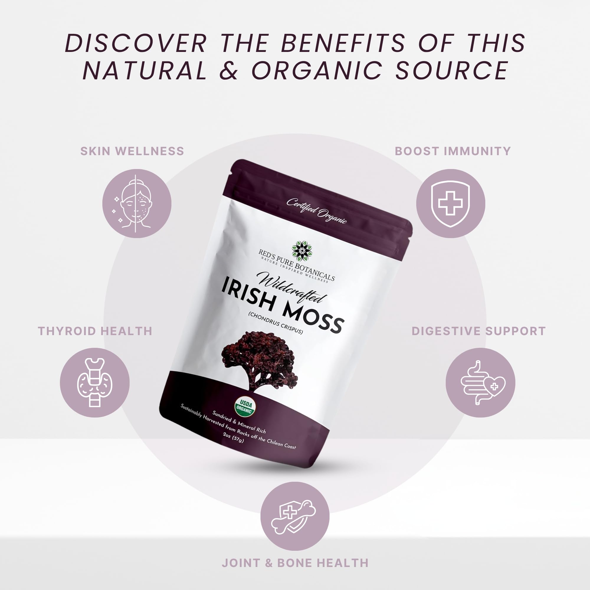 Red’s Pure Botanicals sea moss remojado en bol listo para licuar, prepara gel casero