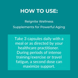 Reignite Wellness estilo de vida activo mostrando energía y recuperación