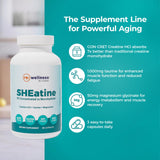 Reignite Wellness ingredientes clave creatina taurina magnesio ilustrados