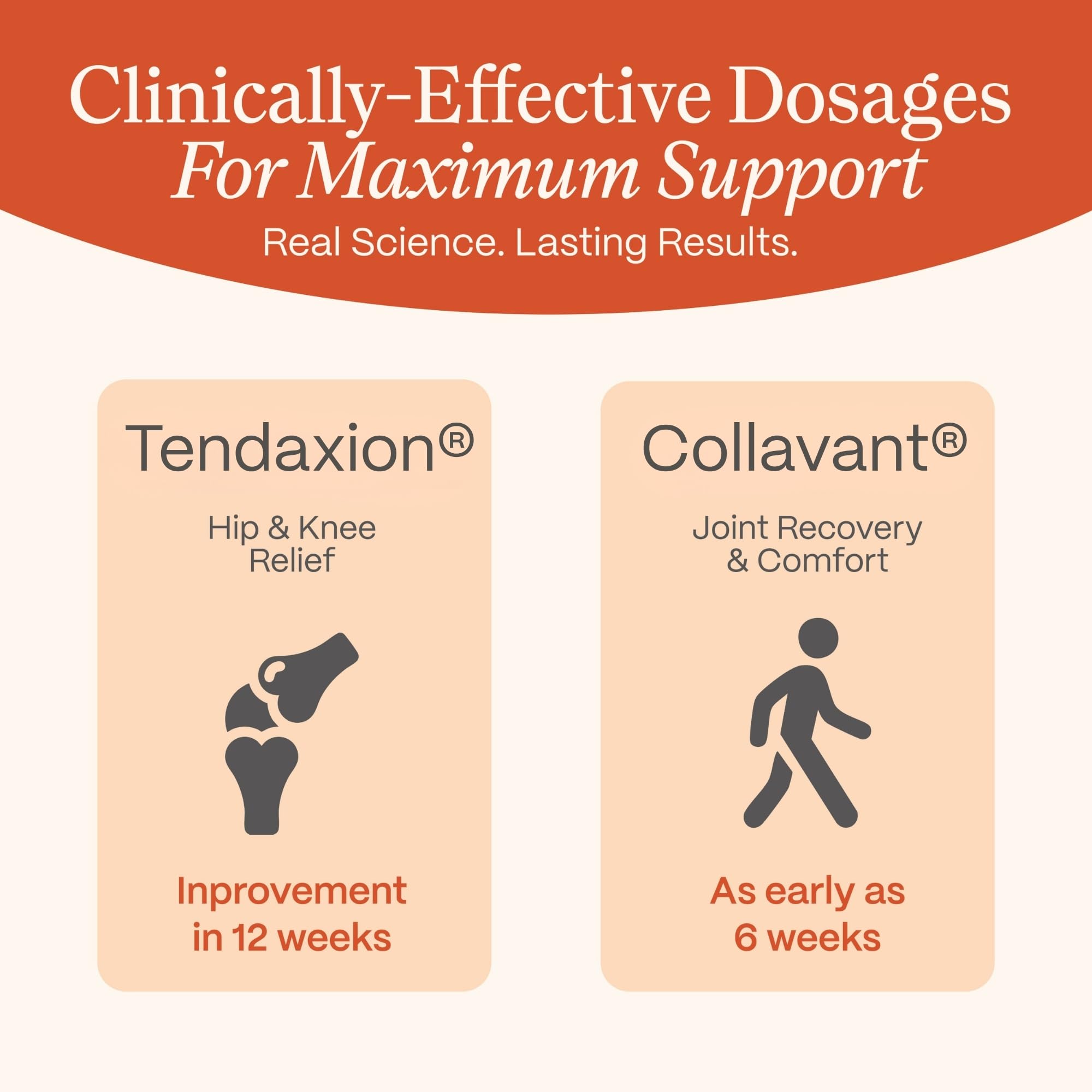 Rejuveen Osteva ingredientes naturales sobre mesa, beneficio sinérgico del colágeno y botánicos