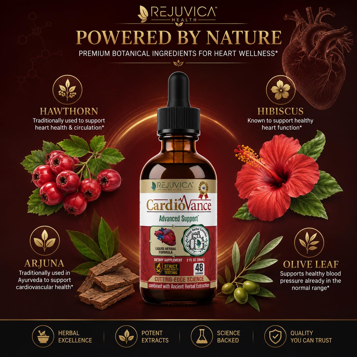 Rejuvica Health ingredientes hawthorn e hibiscus, mezcla botánica natural