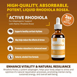 Rejuvica Health gotas en superficie que muestran textura y rápida absorción
