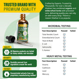 Rejuvica Health montones de hierbas: cardo mariano y alcachofa naturales
