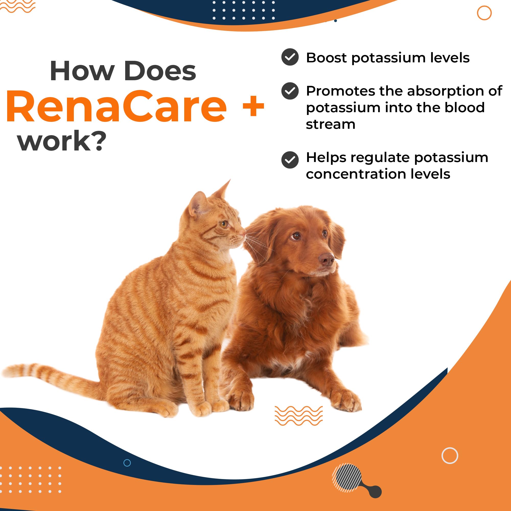 Pet Health Pharma Renacare K comparación de tamaño 5 oz, ideal para tratamientos continuos
