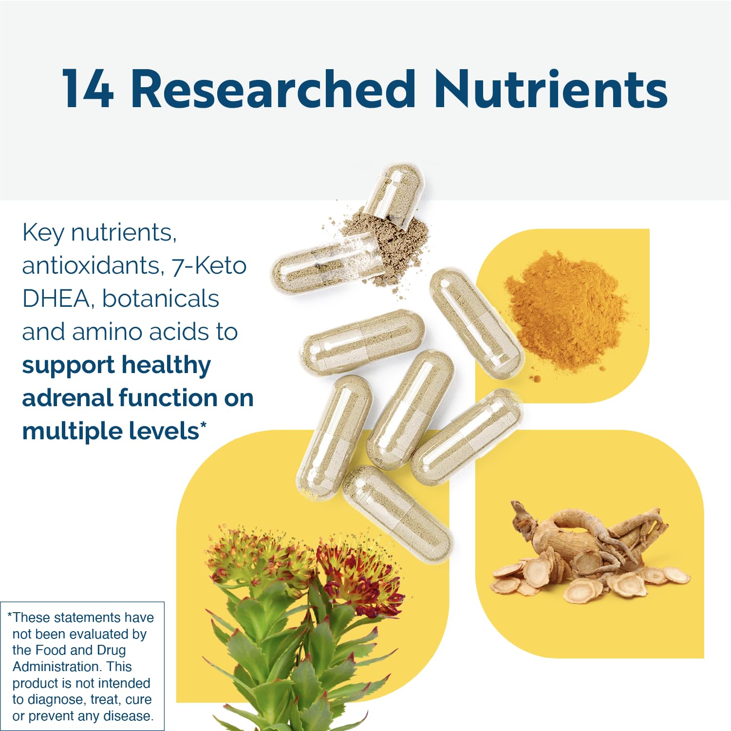 Researched Nutritionals ingredientes del suplemento sobre mesa informativa