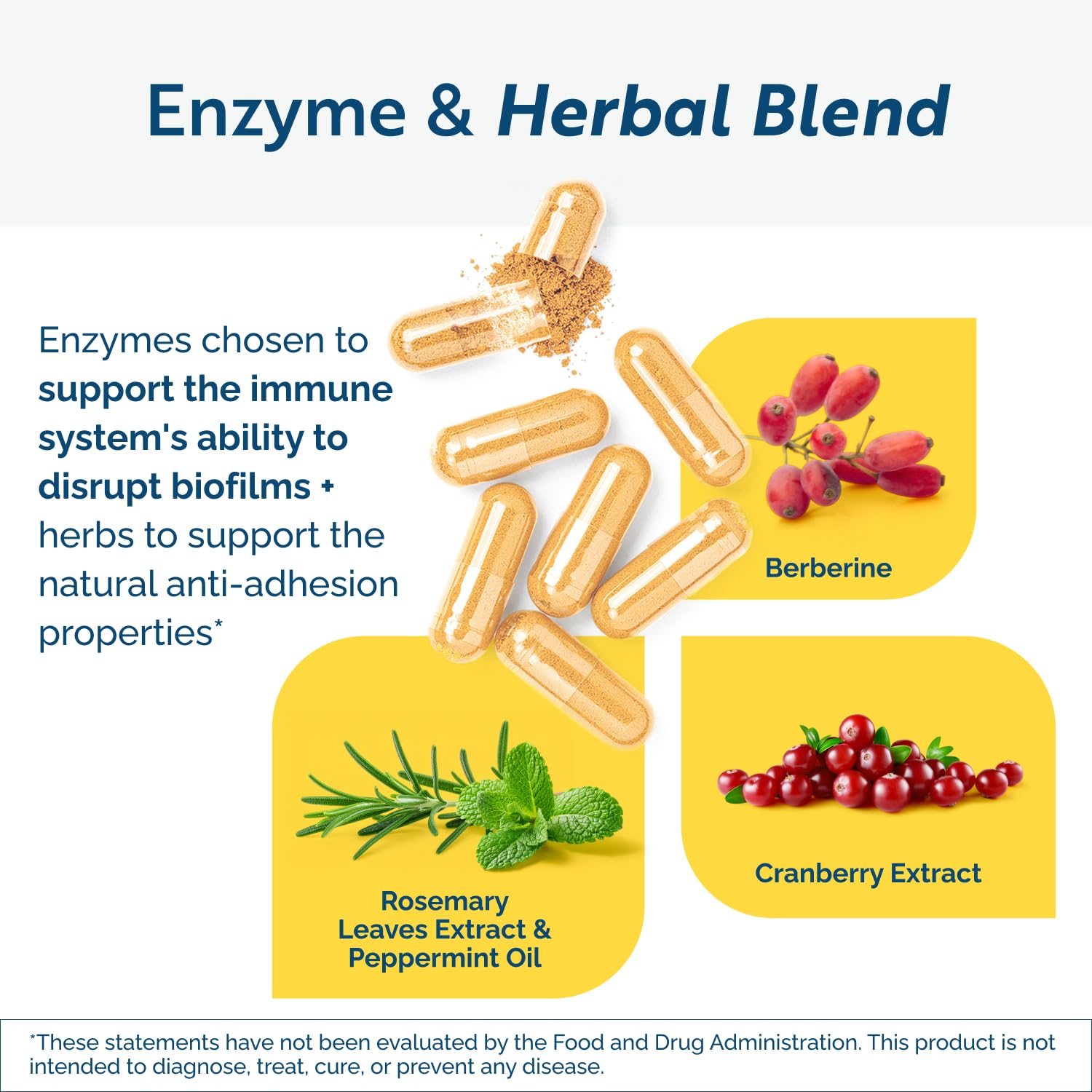 Researched Nutritionals BioDisrupt etiqueta con lista de ingredientes para referencia clara